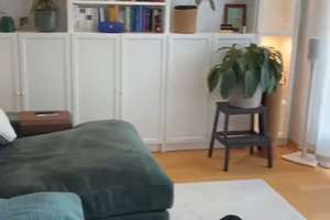 2 Zimmer Wohnung mit eigenem Garten direkt an den Isarauen – Die vollständige Adresse der Immobilie erhältst du vom Anbieter., 81543 Siebenbrunn, München – Vorschaubild 3