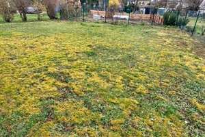 Zweifamilienhaus in gehobener Wohnlage – Die vollständige Adresse der Immobilie erhältst du vom Anbieter., 56626 Andernach – Vorschaubild 6