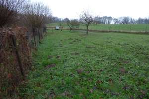 Carinerland / Garvensdorf. – Am Hellbach 4, 18233 Kirch Mulsow – Vorschaubild 19