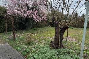 Freistehendes Haus in ruhiger Naturlage – ab sofort verfügbar – Die vollständige Adresse der Immobilie erhältst du vom Anbieter., 74248 Ellhofen – Vorschaubild 20
