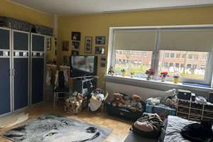 Hinterhaus mit zwei  großen Wohnungen in Bielefeld-Sudbrack! – Meller Straße 75A, 33613 Mitte, Bielefeld – Vorschaubild 4