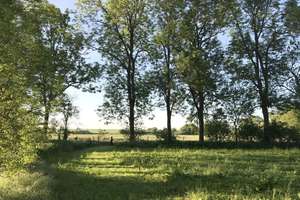 Vielseitig nutzbarer 3-Seiten-Hof in der herrlichen Uckermark - geschmackvoll saniert u ausgestattet – Die vollständige Adresse der Immobilie erhältst du vom Anbieter., 16306 Casekow – Vorschaubild 15