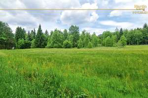 Schwarzwaldhaus im Naturschutzgebiet - Sonnenlage – Oberhöllensteig 6, 79874 Breitnau – Vorschaubild 9