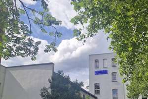 2-Zimmer-Wohnung in der Südstadt von Hannover – Seilerstraße 15 K, 30169 Südstadt, Hannover – Vorschaubild 3