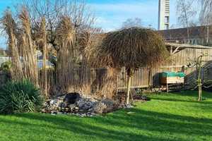 Tolles Mehrfamilienhaus mit 3 Wohnungen und Garten – Soest (Kreis) – Vorschaubild 3