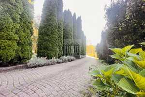 Majestätisches - 4.100 m² traumhaftes GST - Bungalow inkl. Pool, Sauna, Carport & Gästehaus am See ! – Oder-Spree (Kreis) – Vorschaubild 31
