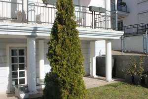 Property thumbnail 9