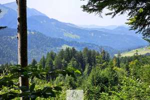 Einzigartiges Naturjuwel in den Allgäuer Alpen – anerkannte Alpe mit Wald- und Weideflächen – Die vollständige Adresse der Immobilie erhältst du vom Anbieter., 87538 Balderschwang – Vorschaubild 24