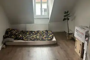 Schönes freistehendes Haus mit Charme im Herzen von Speyer in der Karmeliterstraße 29  – Karmeliterstraße 29, 67346 Speyer – Vorschaubild 3