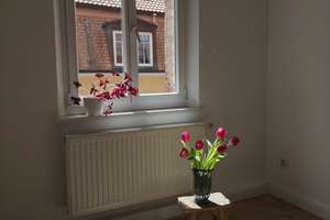 Neu renovierte Altbauwohnung: 2-Zimmer in St. Johannis – Jagdstraße 13, 90419 St. Johannis, Nürnberg – Vorschaubild 3