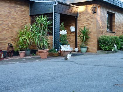 Haus mieten in Remscheid ImmoScout24