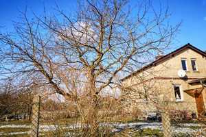 Leben wie im Urlaub- Einzigartiges  Haus am Voßkanal – Oberhavel (Kreis) – Vorschaubild 7