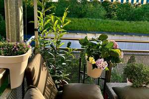 Property thumbnail 15