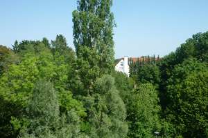 Helle und ruhige 2-Zimmer-Dachgeschoßwohnung (frei) im Münchner Süden mit Alpenblick – Sankt-Wendel-Straße 45, 81379 Thalkirchen, München – Vorschaubild 2