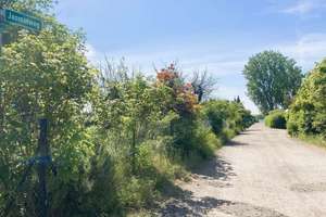 2 wunderschöne Bungalows am Barleber See inkl. Grundstück zu verkaufen! – Jasminweg 2, 39126 Barleber See, Magdeburg – Vorschaubild 2