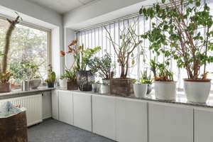 Mainz Hechtsheim # Mehrfamilienhaus mit Garten und Garage # freigestellt – Die vollständige Adresse der Immobilie erhältst du vom Anbieter., 55129 Hechtsheim, Mainz – Vorschaubild 10