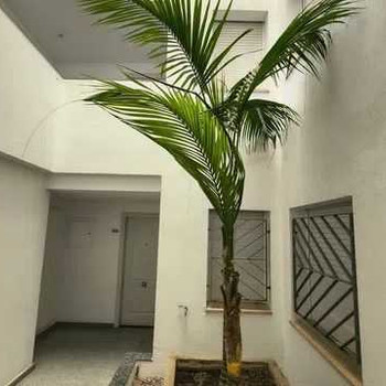 Wohnung in Platja de Pals