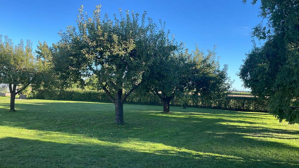 Immobilie in Schwenningen - Modernisiertes Einfamilienhaus mit Traumgarten in ruhiger Ortsrandlage  - Bild 3