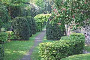 Property thumbnail 17