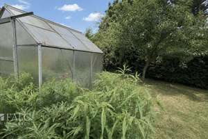 Familienhaus mit Gartenidylle sucht neue Ideen und frischen Glanz – Die vollständige Adresse der Immobilie erhältst du vom Anbieter., 99098 Vieselbach, Erfurt – Vorschaubild 25