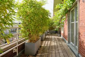 Penthouse-Refugium über den Dächern der Domstadt – Die vollständige Adresse der Immobilie erhältst du vom Anbieter., 50676 Altstadt/Süd, Köln – Vorschaubild 11