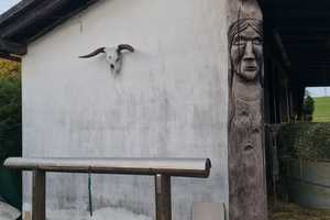 Einfamilienhaus mit Möglichkeit der Tierhaltung im Westerwald  – Westerwaldkreis – Vorschaubild 13