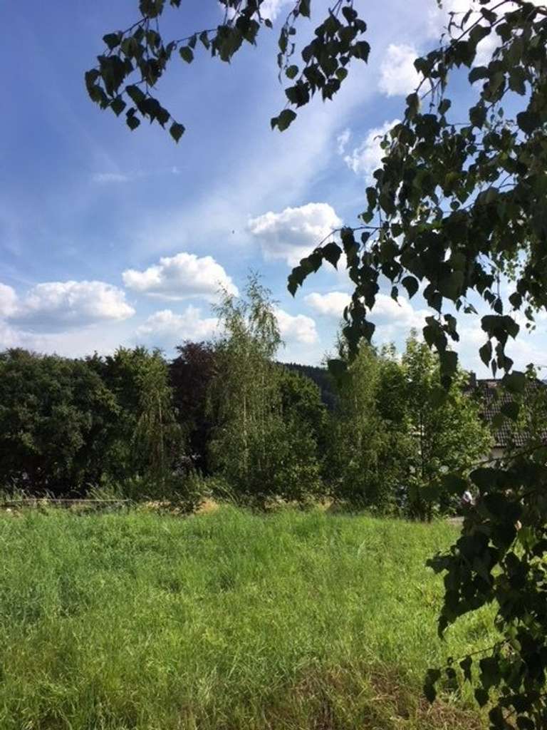 Immobilie in Gornau - HIER WOHNEN DIE NEUEN SPIELGEFÄHRTEN IHRER KINDER GLEICH NEBENAN! TELEFON 01714863595                - Bild 3