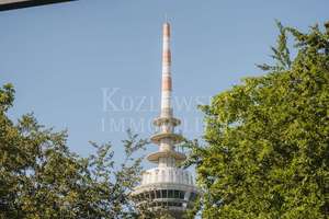 Purismus & Komfort treffen Luisenpark - Designwohnung mit 19 qm Parkterrasse! – Die vollständige Adresse der Immobilie erhältst du vom Anbieter., 68165 Schwetzingerstadt/Oststadt, Mannheim – Vorschaubild 23