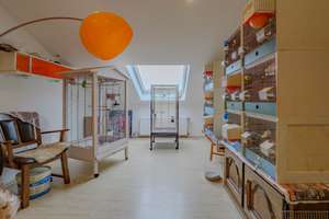 Property thumbnail 9