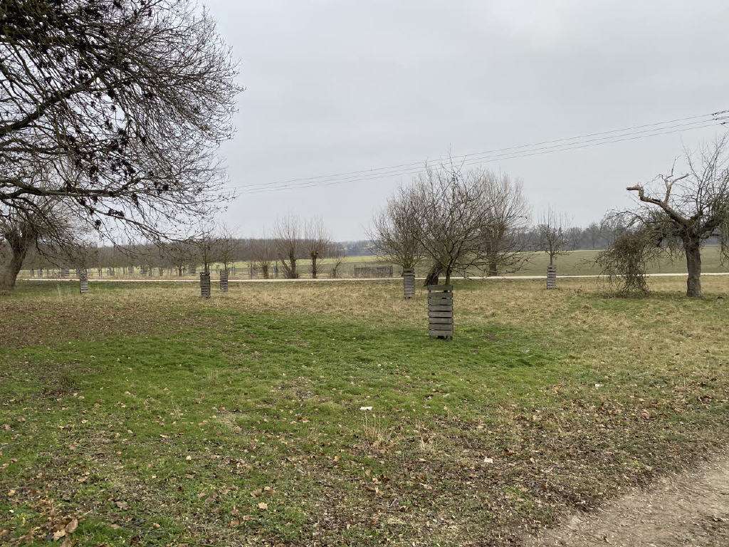 Immobilie in Hirschstein - Spielwiese für Ideen - Sanierungsbedürftiger 2-Seitenhof in Hirschstein OT Boritz - Bild 4