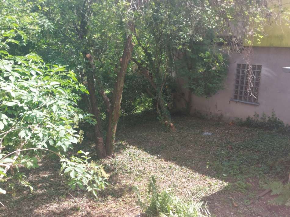 Garten 2