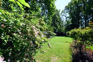 Hamburg - Wohldorf-Ohlstedt | Ein Ort zum Ankommen – charmante Landhausvilla mit Herz und Garten – Hamburg – Vorschaubild 19
