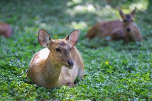 Property thumbnail 12