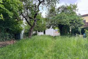 Property thumbnail 35