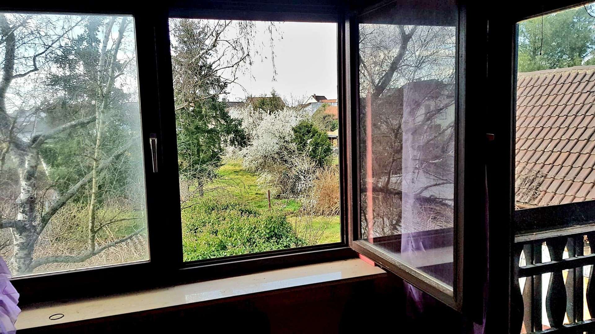 Immobilie in Kronau - Haus mit XXL Traumgarten für Selbstversorger, Hobby und Tiere, Gesamtfläche 1285qm - Bild 5