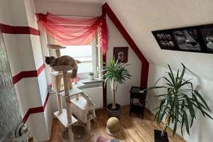Bezugsfertiges Einfamilienhaus mit großem Blk, Garage, 2 Bädern und sonnigem Grundstück – Die vollständige Adresse der Immobilie erhältst du vom Anbieter., 9224 Grüna, Chemnitz – Vorschaubild 30
