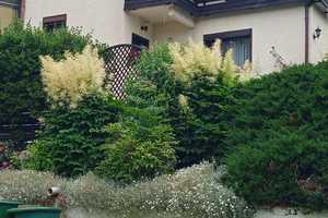 Wohnhaus mit großem Grundstück nahe der Stadtmitte – Hohe Straße 1, 9337 Zwickau (Kreis) – Vorschaubild 4