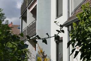 Zuhause mit viel Platz in Braunschweig – Hannoversche Str. 10 E, 38116 Lehndorf-Watenbüttel, Braunschweig – Vorschaubild 2