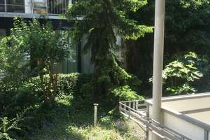 Property thumbnail 16