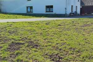 Einfamilienhaus mit Garage und Nebengebäuden (viele Ausbaumöglichkeiten) in Ruhiger Lage mit Bauland – Euskirchen (Kreis) – Vorschaubild 3