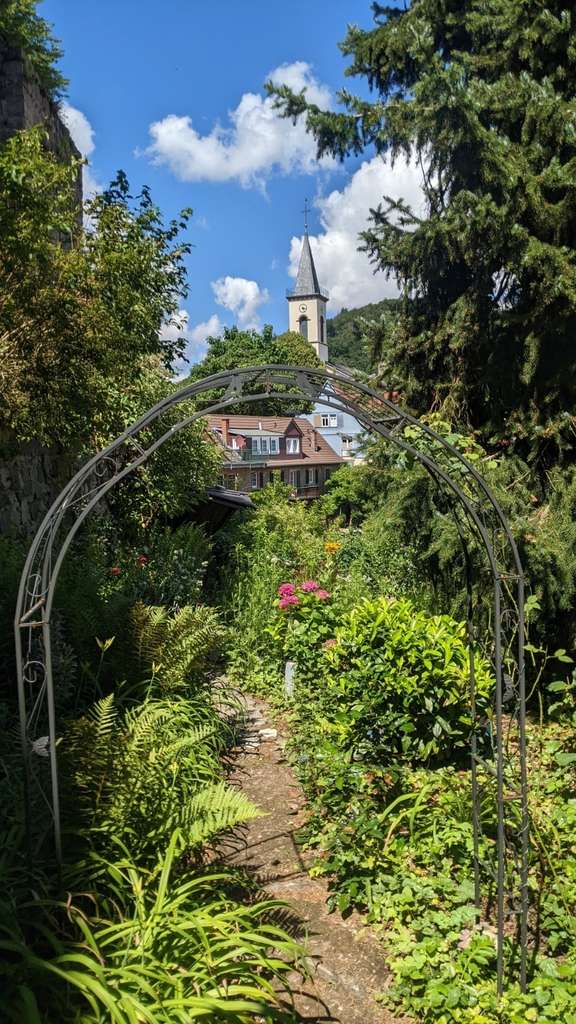 Immobilie in Lindenfels - Wohnen wie ein Burgherr - 4 Parteien, für Kapitalanleger oder Eigennutzer - Bild 3