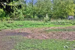 Bei Teuchern -  (T)RAUM ZUR ENTFALTUNG ! Imposantes, solides Klinker-MFH / EFH, WFl. ca. 390 m² – Burgenlandkreis – Vorschaubild 5