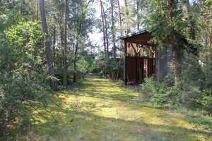 Zukunftsgrundstück – Bauland und Bestandsgebäude mit Wohncharakter naturnah am Zeischaer Kiessee – Die vollständige Adresse der Immobilie erhältst du vom Anbieter., 4924 Bad Liebenwerda – Vorschaubild 8