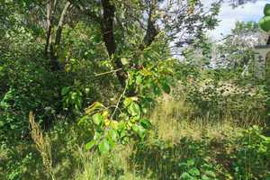 *** 2. Baufamilie gesucht! *** ELK-Doppelhaushälfte + Grundstück mit Feldblick in Bernau! – Barnim (Kreis) – Vorschaubild 1