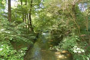 Wohnen am Englischen Garten! – Oettingenstr. 53, 80538 Englischer Garten, München – Vorschaubild 4