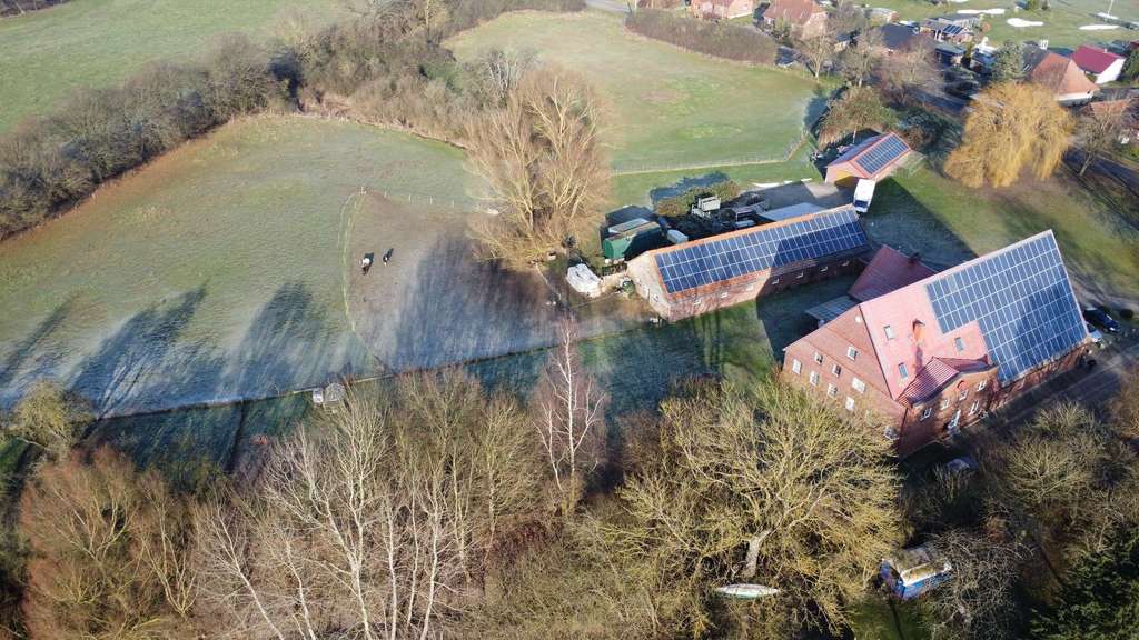 Immobilie in Gadebusch - Sie brauchen Platz? Für sich und Ihre Tiere? - Bild 1