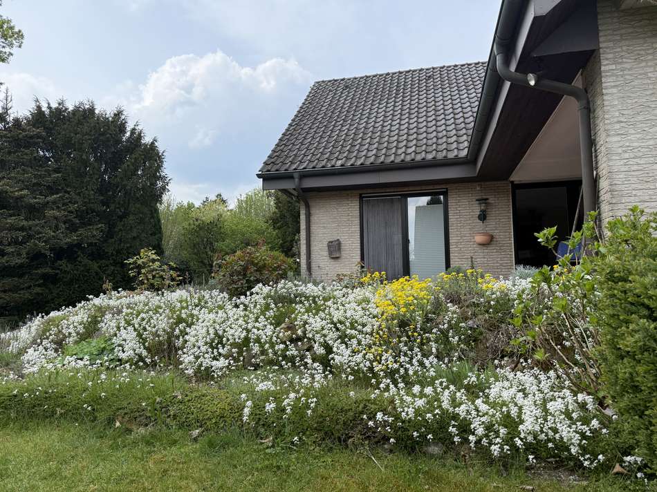 Ansicht 