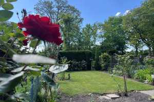 Im Sommer im eigenen Garten:  Gepflegtes & modernisiertes Reihenmittelhaus – Münster – Vorschaubild 22