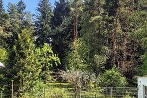 Natur pur&Renditechance:Gepflegtes EFH mit Einliegerwohnung  am Waldrand – Provisionsfrei!  – Die vollständige Adresse der Immobilie erhältst du vom Anbieter., 92729 Weiherhammer – Vorschaubild 7