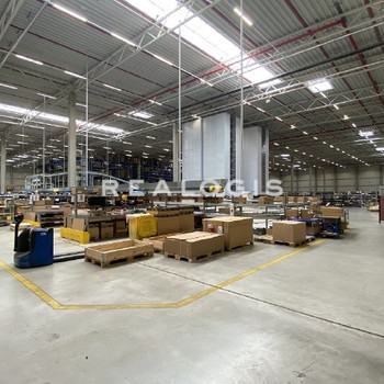 Hochwertige Industrie-/Logistikhalle mit 8m UKB zu vermieten!